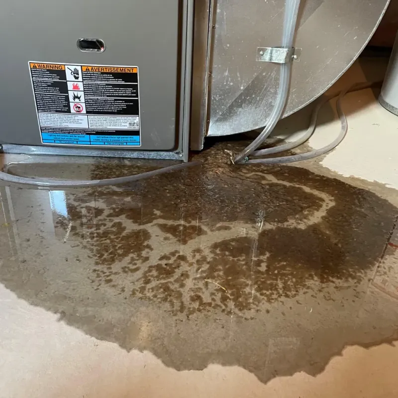 Appliance Leak Cleanup in Minor, AL